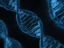 Kajian DNA Ke Atas Orang Melayu: Benarkah Melayu Ialah Pendatang?
