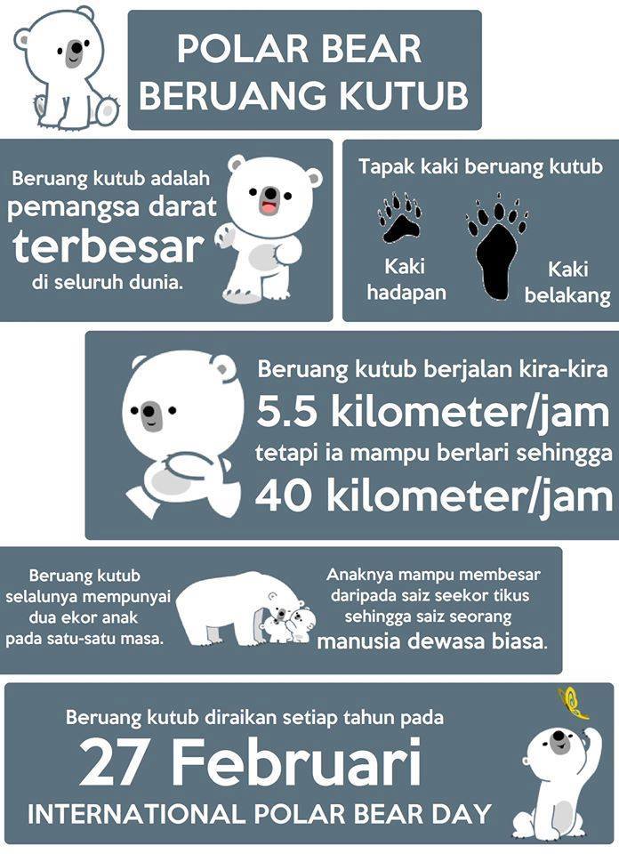 10 Fakta Menarik Mengenai Beruang Kutub - The Patriots