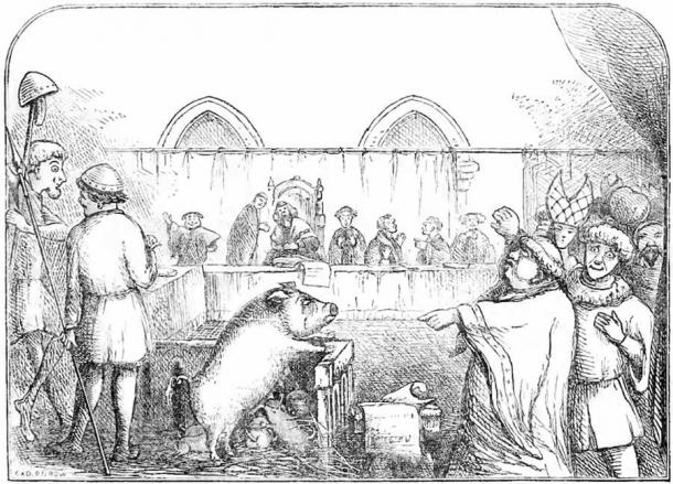 Babi Dikenakan Hukuman Mati Akibat Jenayah Pembunuhan? 7