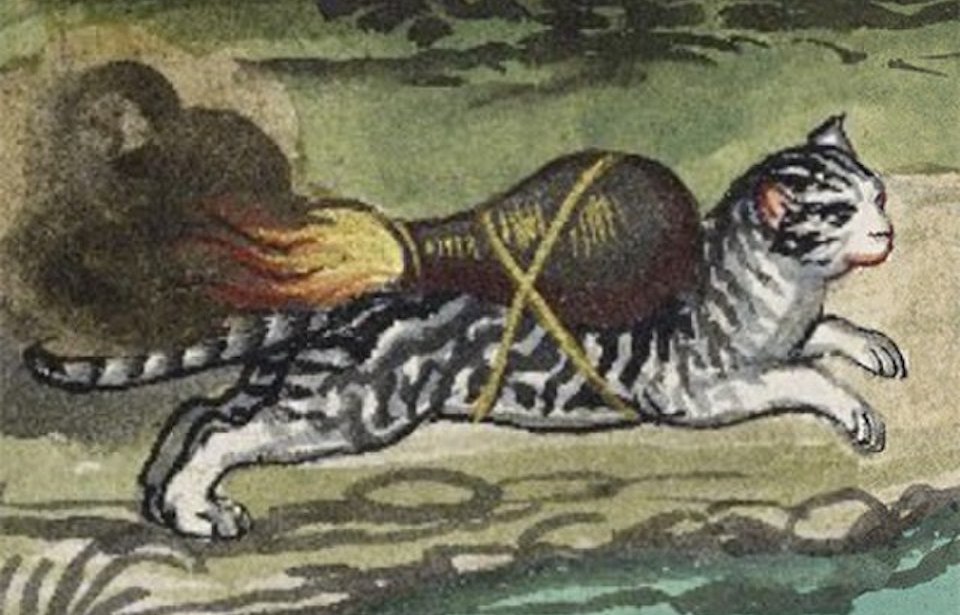 Kucing Dipasangkan Roket – Taktik Pelik Perang Abad Ke-16